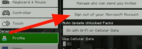 Fix Unable to Connect to World Minecraft