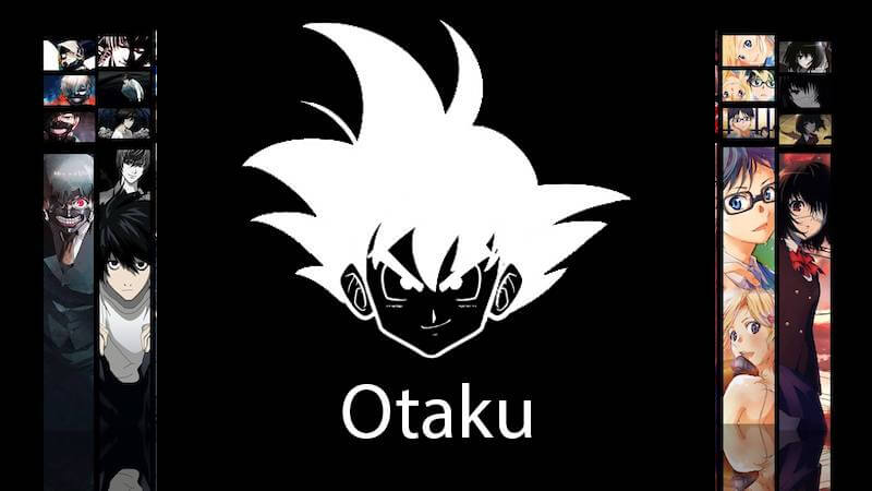 How to Install Otaku Kodi